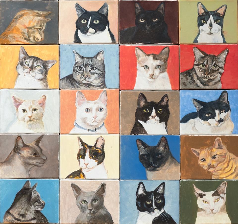 18301414_1040930026007694_7449283259610936904_n